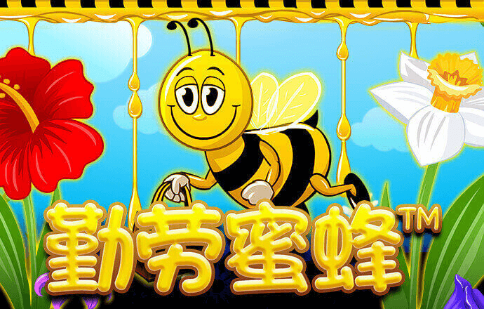 c58彩票软件苹果版